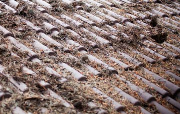 Horsebrook roof cleaning companies